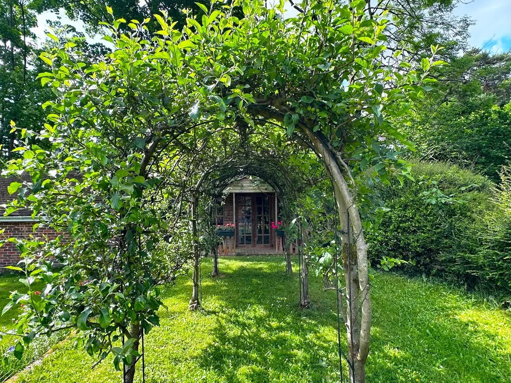 Garden design at Brassey Road, Oxted