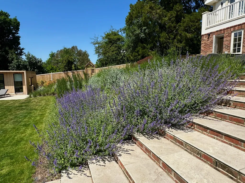 Garden design at Woodhurst Lane, Oxted